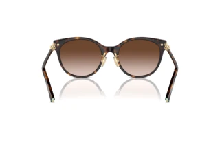 [glasses-back-view] Tiffany TF4223D (80153B)