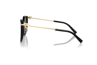 [glasses-side-view] Tiffany TF4224D (8001S4)