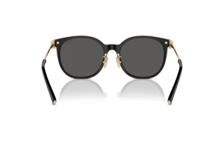 [glasses-back-view] Tiffany TF4224D (8001S4)