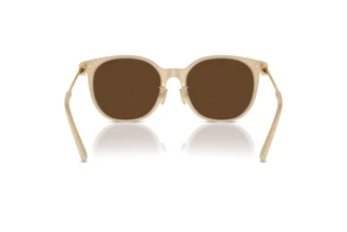 [glasses-back-view] Tiffany TF4224D (84183G)