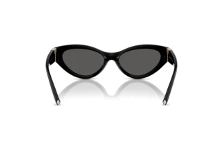 Vy bakifrån Tiffany TF4225U (8001S4)