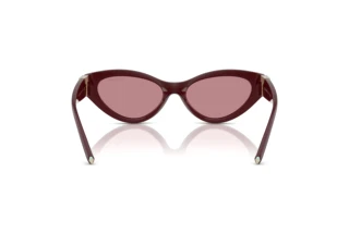 [glasses-back-view] Tiffany TF4225U (838930)