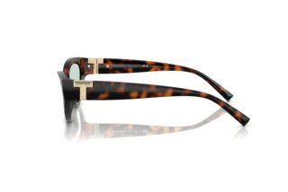 [glasses-side-view] Tiffany TF4225U (8429D9)