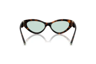 [glasses-back-view] Tiffany TF4225U (8429D9)