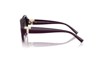 Vista lateral Tiffany TF4227BU (84273C)