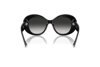 [glasses-back-view] Tiffany TF4228 (80013C)