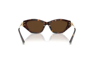 Πίσω όψη Tiffany TF4231U (80153G)