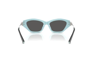 [glasses-back-view] Tiffany TF4231U (8055S4)