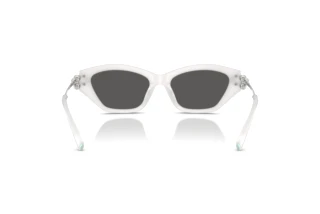 [glasses-back-view] Tiffany TF4231U (8437S4)