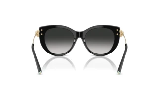 Πίσω όψη Tiffany TF4232 (80013C)