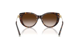 [glasses-back-view] Tiffany TF4232 (80153B)