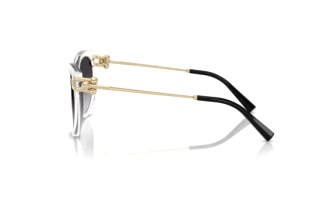 [glasses-side-view] Tiffany TF4232 (80473C)