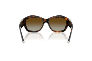 [glasses-back-view] Tiffany TF4233U (8015T5)