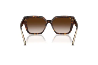 [glasses-back-view] Tiffany TF4235 (80153B)