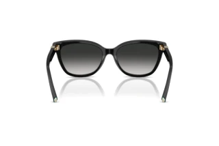 [glasses-back-view] Tiffany TF4237B (80013C)