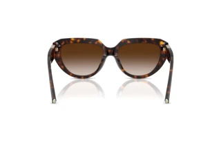 [glasses-back-view] Tiffany TF4238U (80153B)