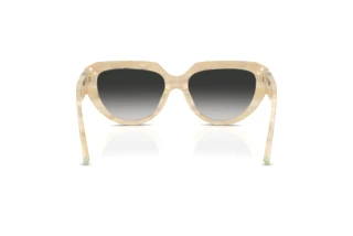 Vista posterior Tiffany TF4238U (84313C)