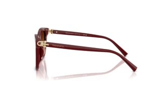 Sivukuva Tiffany TF4241D (84395M)