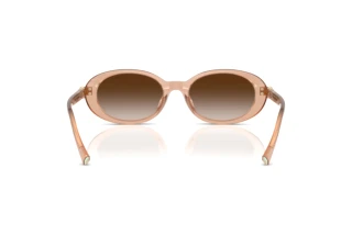 [glasses-back-view] Tiffany TF4242D (82683B)