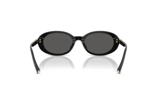 [glasses-back-view] Tiffany TF4242D (8361S4)