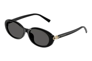 [glasses-front-view] Tiffany TF4242D (8361S4)