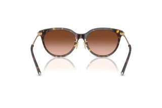 Vy bakifrån Tiffany TF4243D (80153B)