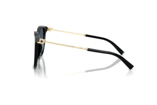 [glasses-side-view] Tiffany TF4244D (80019S)
