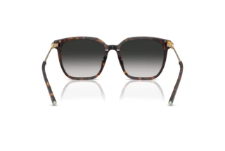 [glasses-back-view] Tiffany TF4244D (80153C)