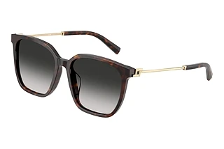 Tiffany TF 4244D 80153C