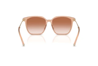 Vy bakifrån Tiffany TF4244D (826813)