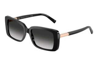 Vedere din față Tiffany TF4249 (80013C)