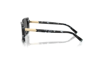 Vedere laterală Tiffany TF4249 (842881)