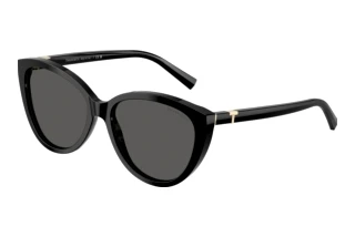 Vedere din față Tiffany TF4251 (8001S4)