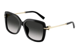 Vista frontal Tiffany TF4252B (80013C)