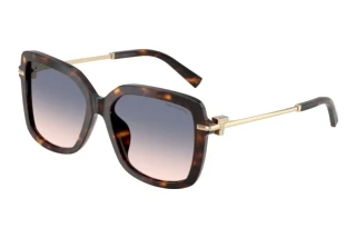 Edestä katsottuna Tiffany TF4252B (801516)