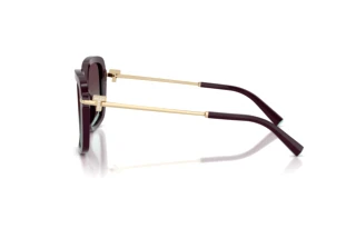 Sivukuva Tiffany TF4252B (8427V7)