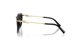 Vedere laterală Tiffany TF4253 (80013C)