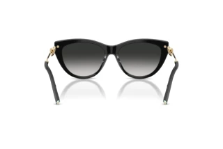 Vedere din spate Tiffany TF4253 (80013C)