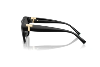 [glasses-side-view] Tiffany TF4254U (8001S4)