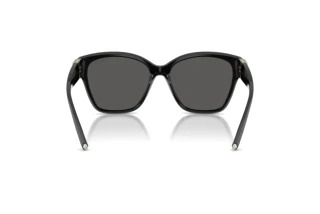 [glasses-back-view] Tiffany TF4254U (8001S4)