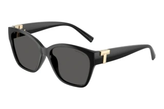 [glasses-front-view] Tiffany TF4254U (8001S4)