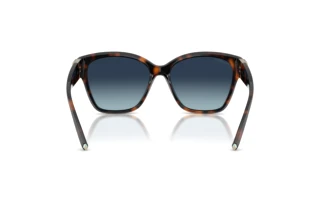 [glasses-back-view] Tiffany TF4254U (84554U)