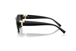 Sivukuva Tiffany TF4255U (8001S4)