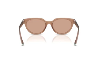 [glasses-back-view] Tiffany TF4256D (844973)