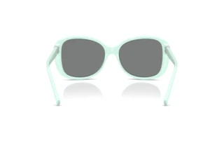 Vy bakifrån Tiffany TF4257U (845087)