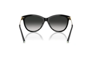 [glasses-back-view] Tiffany TF4258BU (80013C)