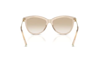 [glasses-back-view] Tiffany TF4258BU (844511)