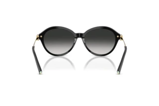 Πίσω όψη Tiffany TF4259 (80013C)