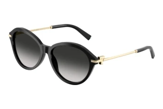 Εμπρόσθια όψη Tiffany TF4259 (80013C)