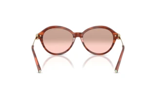 [glasses-back-view] Tiffany TF4259 (84407E)